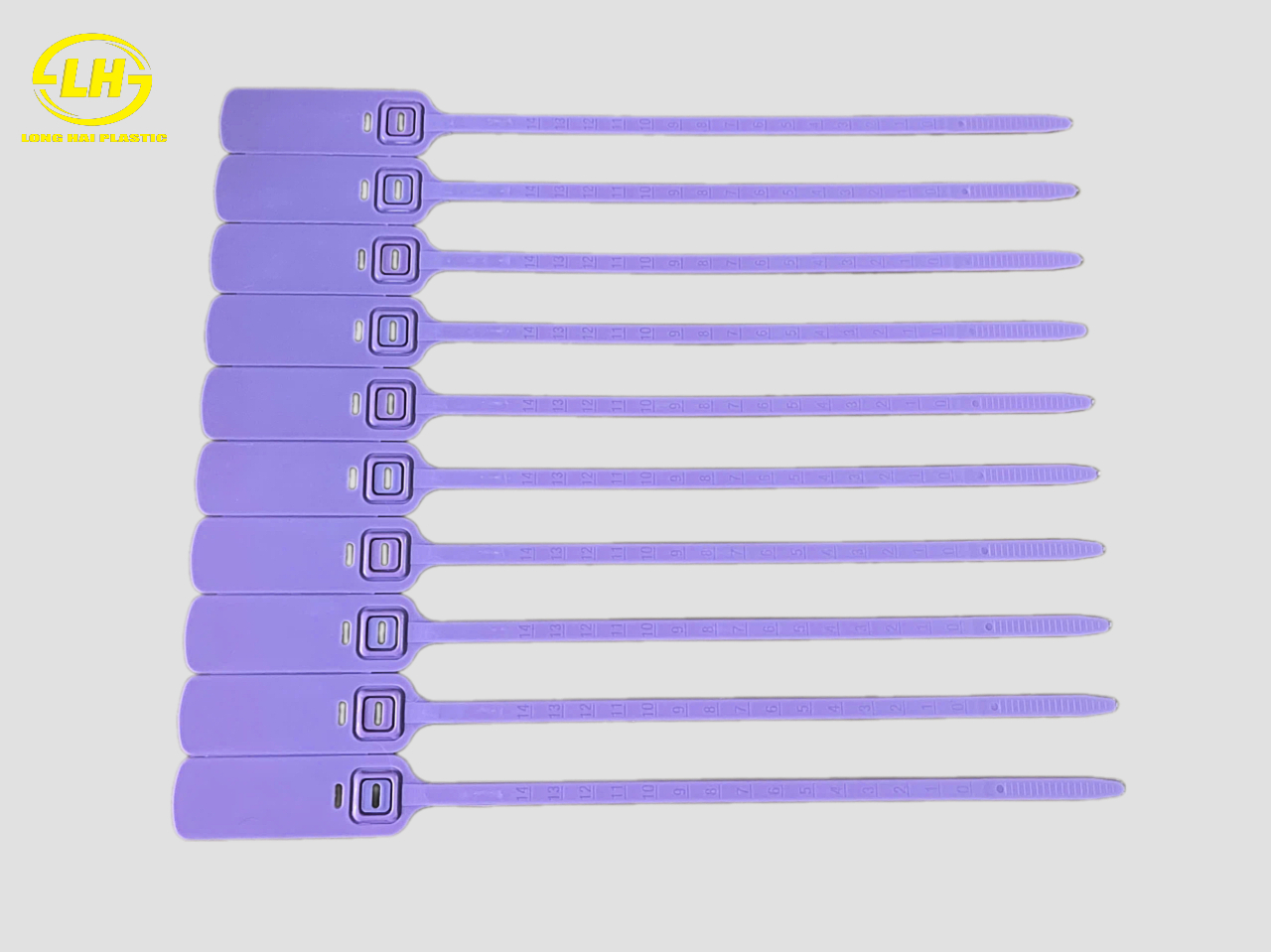 Remove-bg.ai_1749544213474
