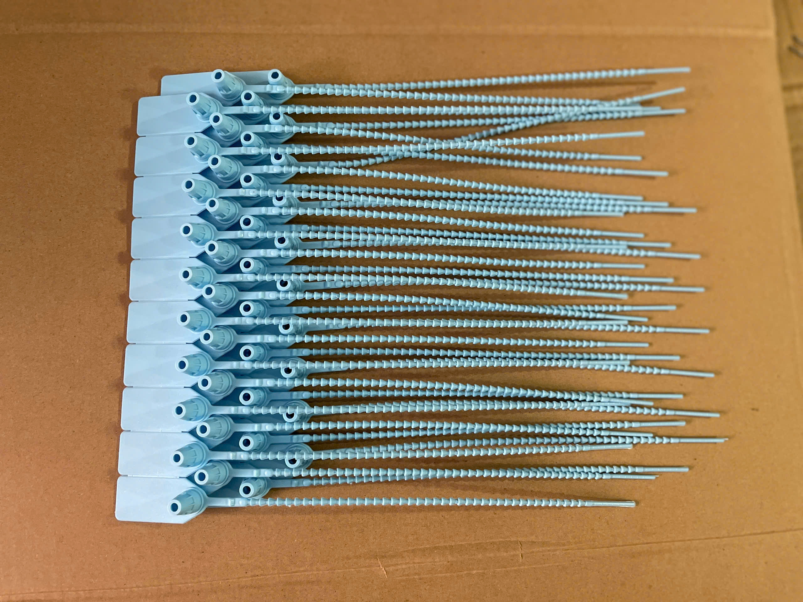 z6690967183848_b8a3fd8dd4838a994ae2b37af6a26c50